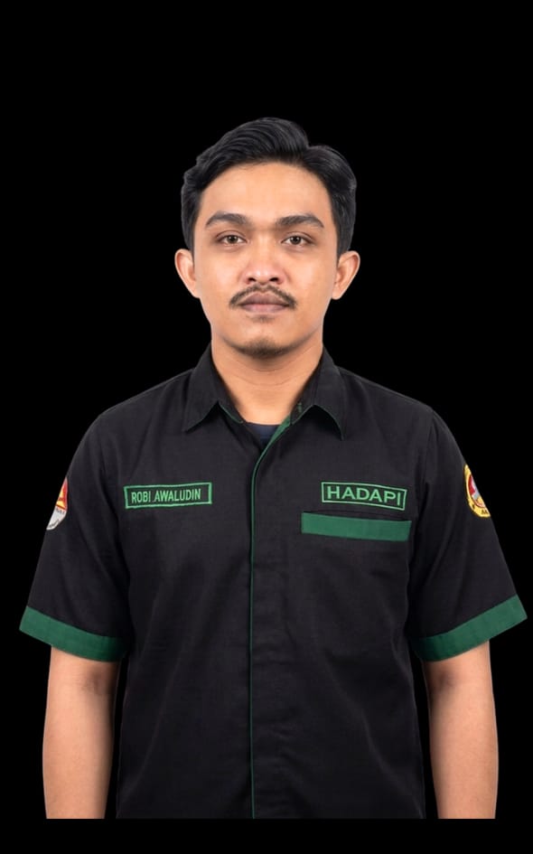 Robi Awaludin